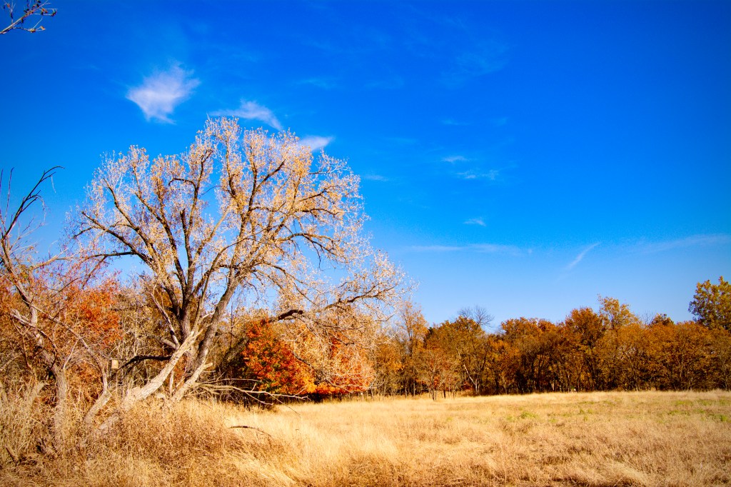 Not All Who Wander Have Lost Their Focus (Maybe They Just Have ADHD)